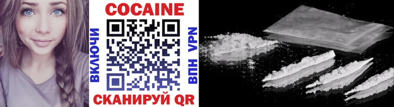 мега   Зеленогорск  Cocaine Fish Scale  как найти закладки 