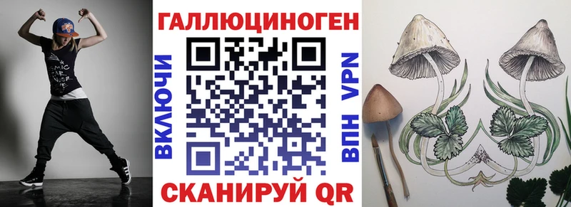 Галлюциногенные грибы Psilocybine cubensis  Зеленогорск 